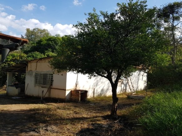 Chacara com 12746 m² em Cambuí MG Cod 1127 (15)