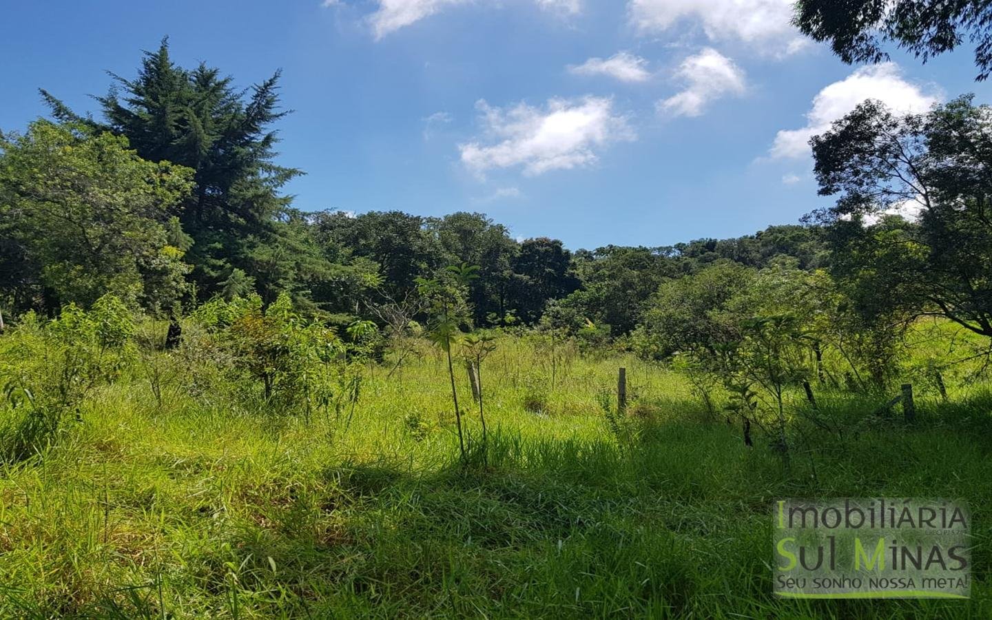 Chacara com 12746 m² em Cambuí MG Cod 1127 (17)