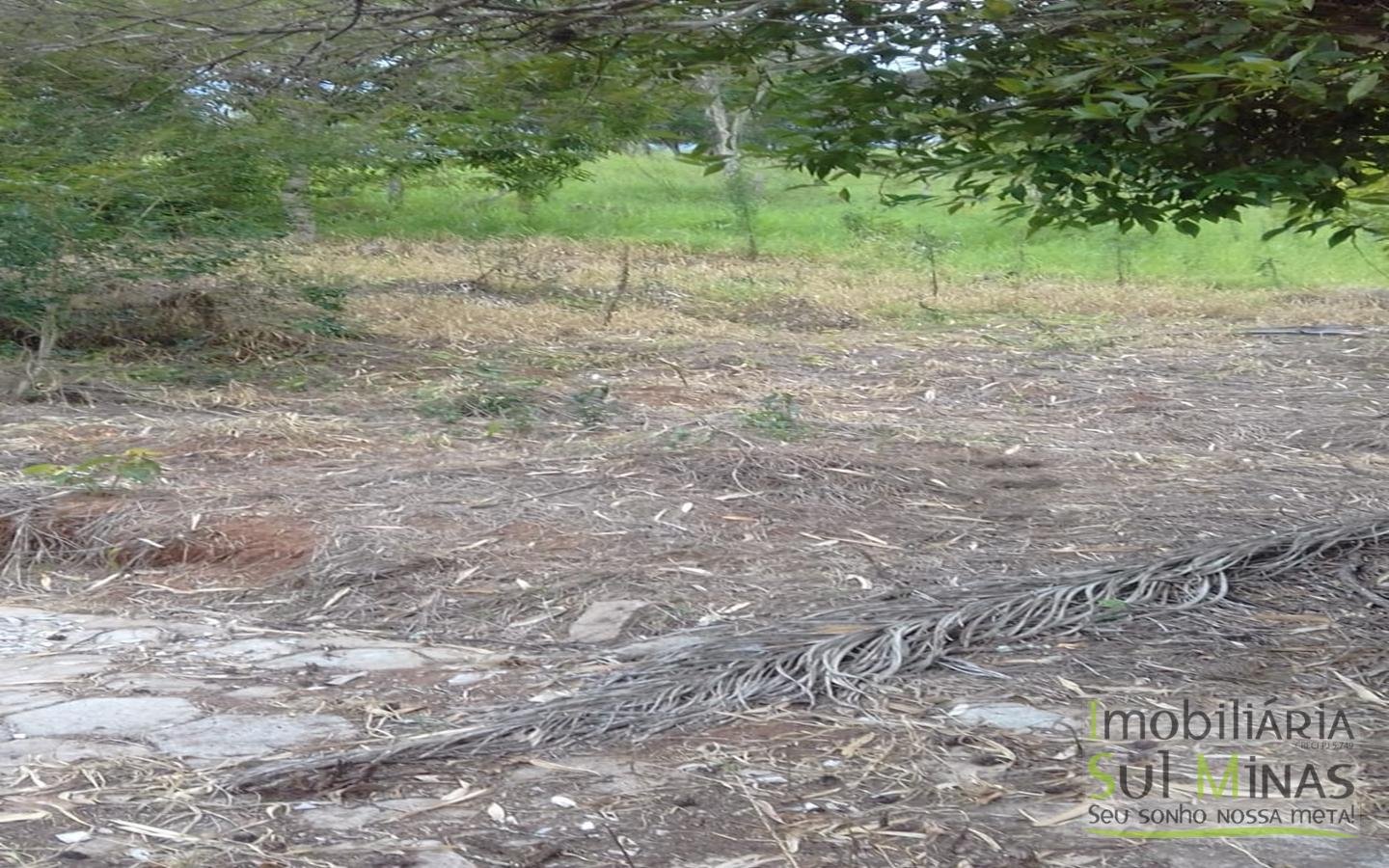 Chacara com 12746 m² em Cambuí MG Cod 1127 (2)