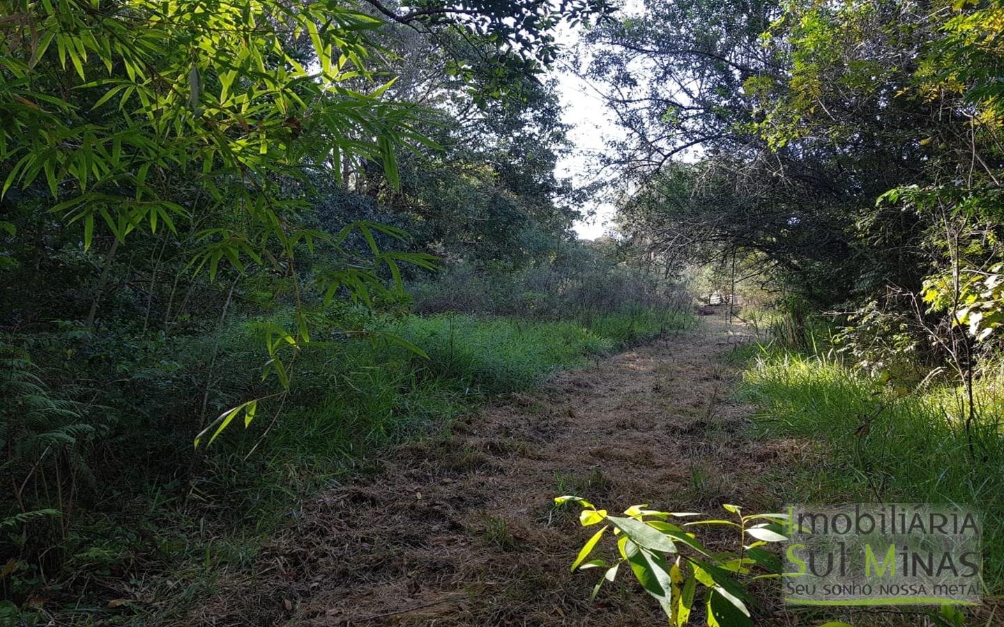 Chacara com 12746 m² em Cambuí MG Cod 1127 (6)