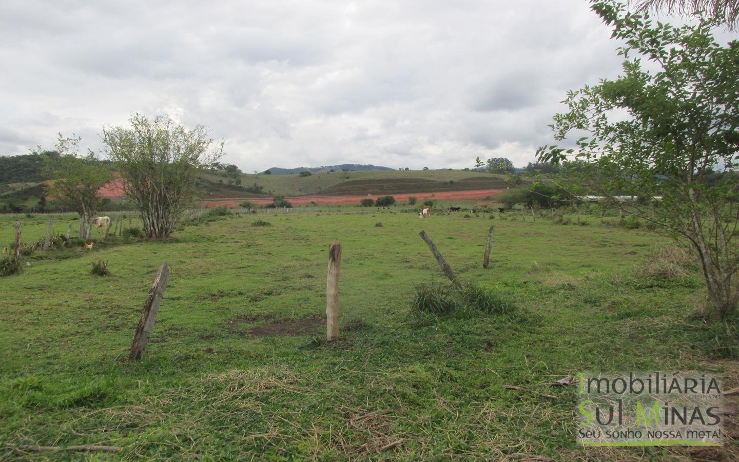 Chácara com 6 suítes e piscina Cod 876 (35)