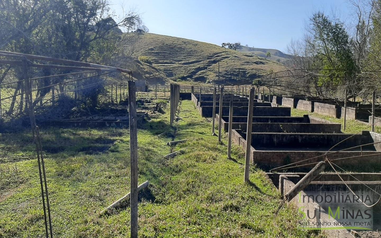 Chácara com Rio na Divisa a Venda em Cambuí MG Cód. 1492 (1)
