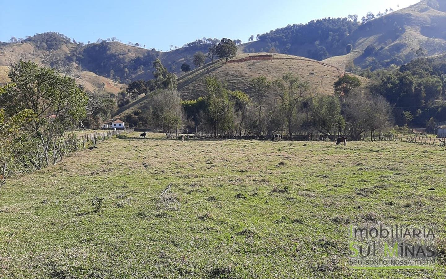 Chácara com Rio na Divisa a Venda em Cambuí MG Cód. 1492 (13)