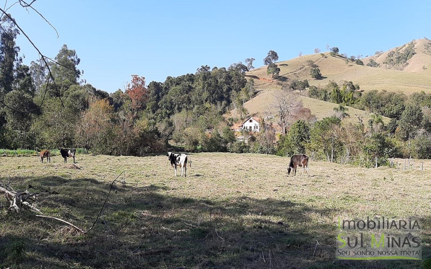 Chácara com Rio na Divisa a Venda em Cambuí MG Cód. 1492 (3)