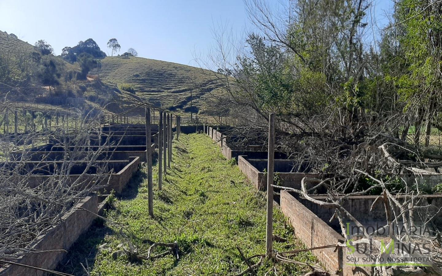 Chácara com Rio na Divisa a Venda em Cambuí MG Cód. 1492 (5)
