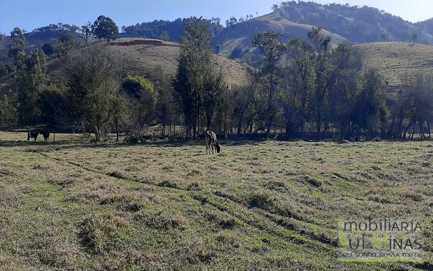 Chácara com Rio na Divisa a Venda em Cambuí MG Cód. 1492 (7)