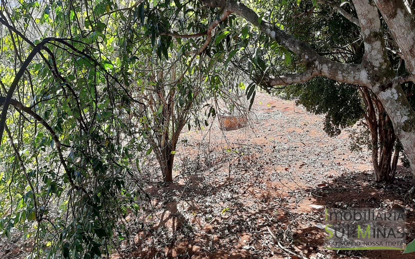 Chácara de 2.250 m² a Venda em Estiva MG Cód. 1475 (14)