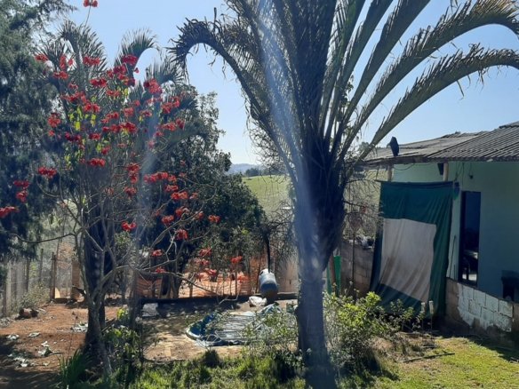 Chácara de 2.250 m² a Venda em Estiva MG Cód. 1475 (20)