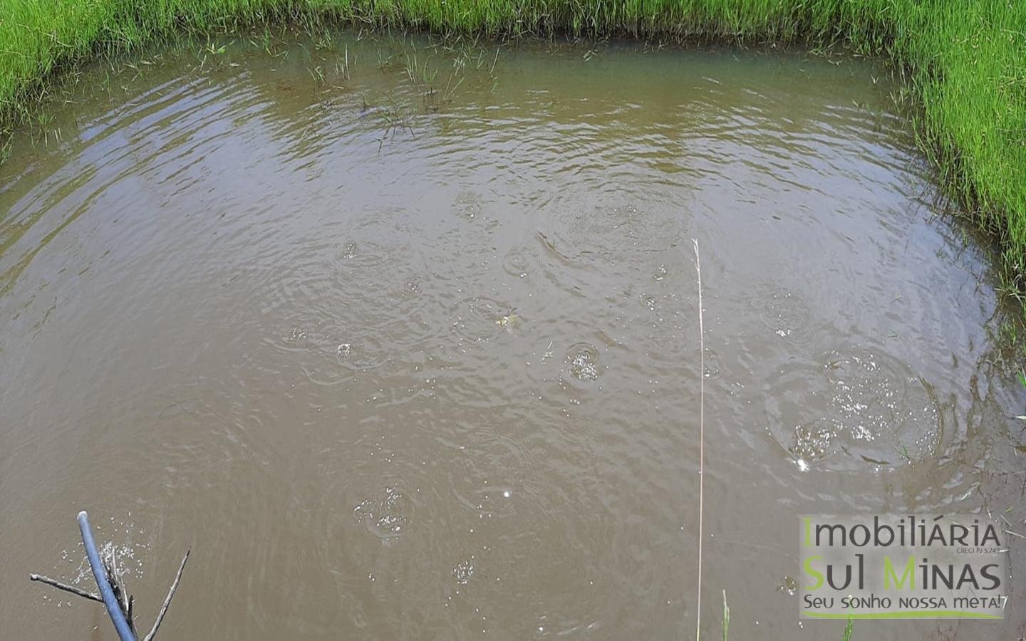 Chácara de 2500 m² à venda em Cambuí MG Cód. 1392 (13)