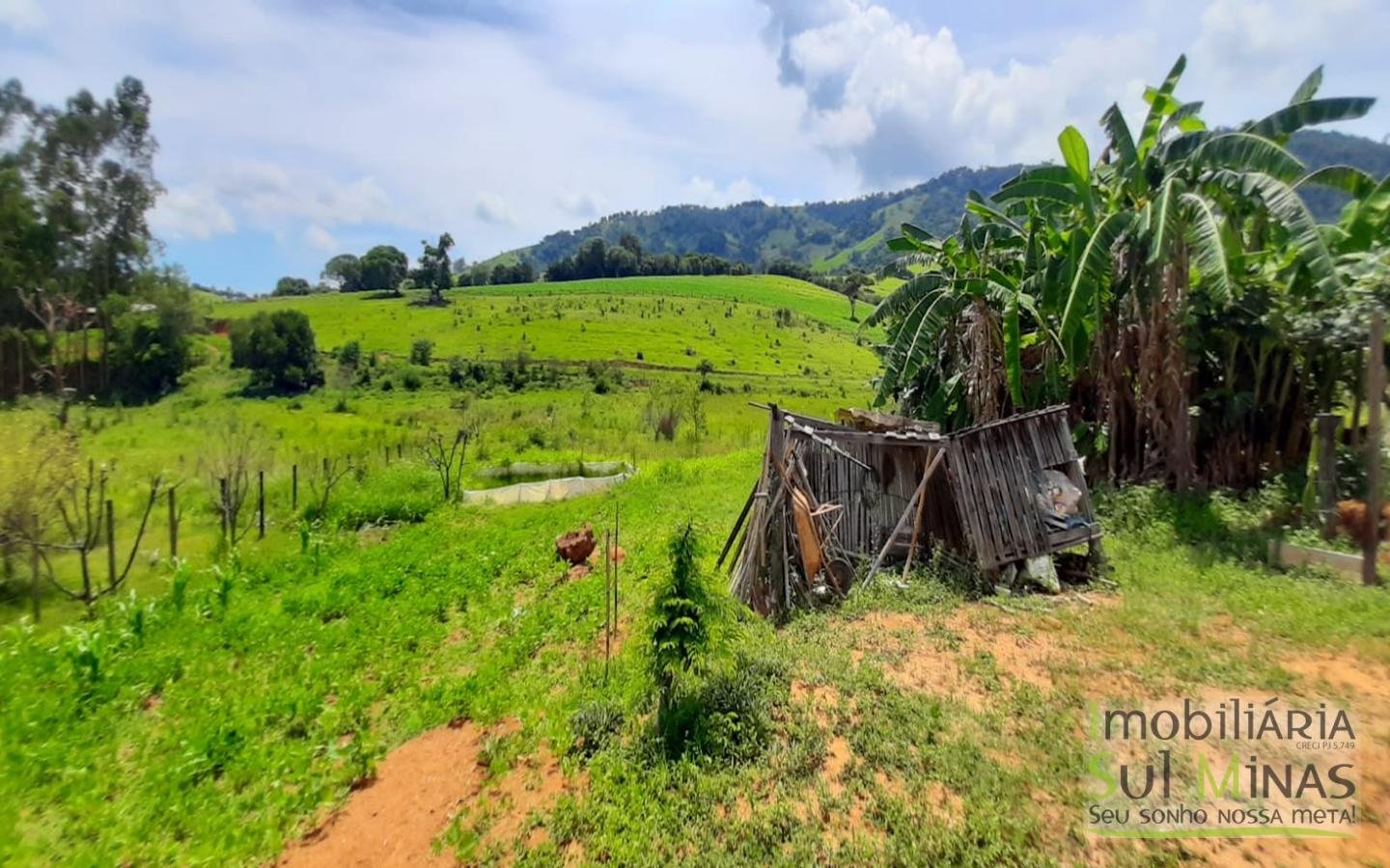 Chácara de 2500 m² à venda em Cambuí MG Cód. 1392 (17)