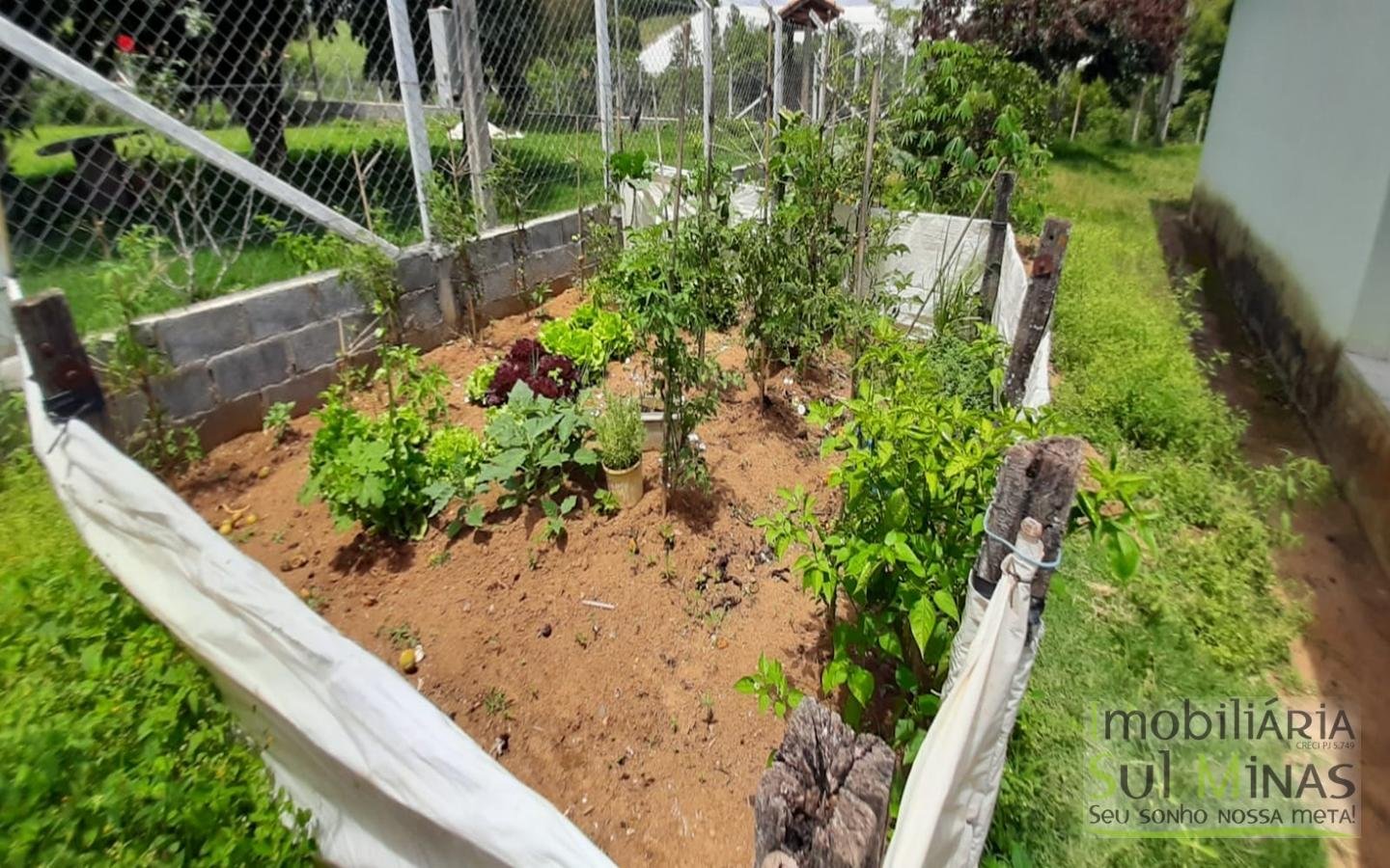 Chácara de 2500 m² à venda em Cambuí MG Cód. 1392 (9)