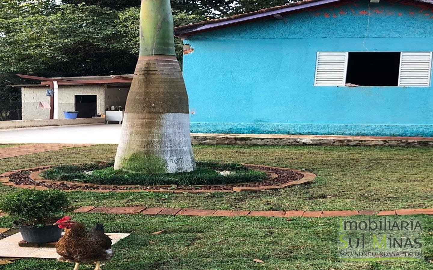 Chácara de 3980m² a 3km da cidade a Venda em Cambuí MG (50)