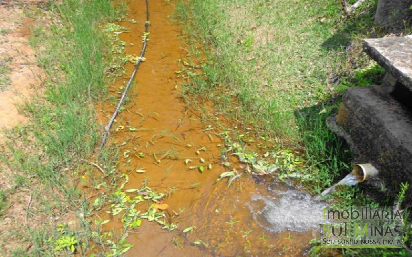 Chacara de Alto Padrao a Venda em Itapeva (16)