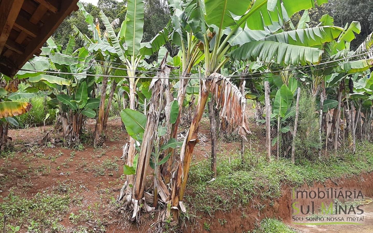 Chácara no Córrego do Bom Jesus MG com 2.000 m² Cod 1266 (2)