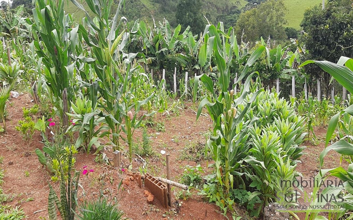Chácara no Córrego do Bom Jesus MG com 2.000 m² Cod 1266 (5)