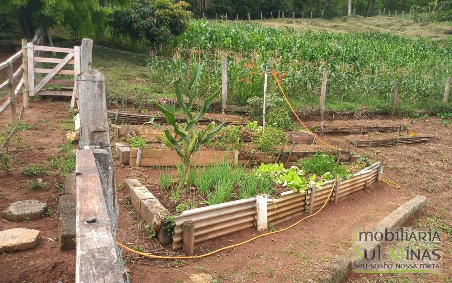 Chácara no Córrego do Bom Jesus a 6 km da Cidade (12)