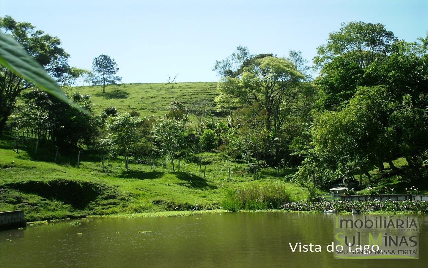 Linda Chácara de 8.000 m² à Venda em Camanducaia MG Cod. 1850 (26)