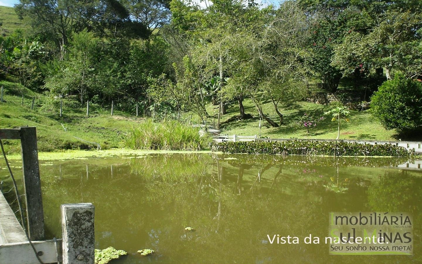 Linda Chácara de 8.000 m² à Venda em Camanducaia MG Cod. 1850 (27)