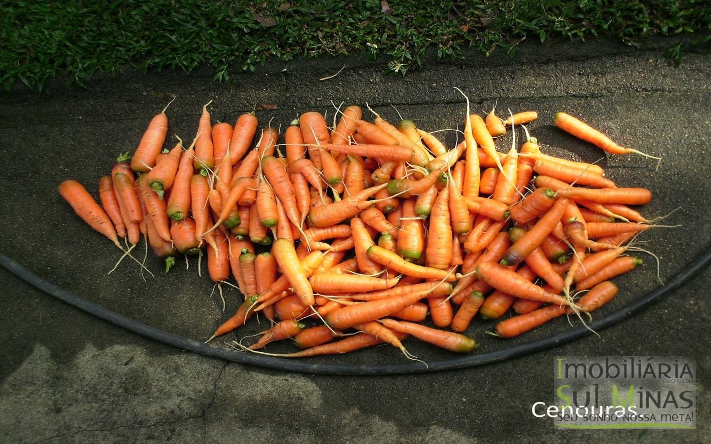 Linda Chácara de 8.000 m² à Venda em Camanducaia MG Cod. 1850 (28)