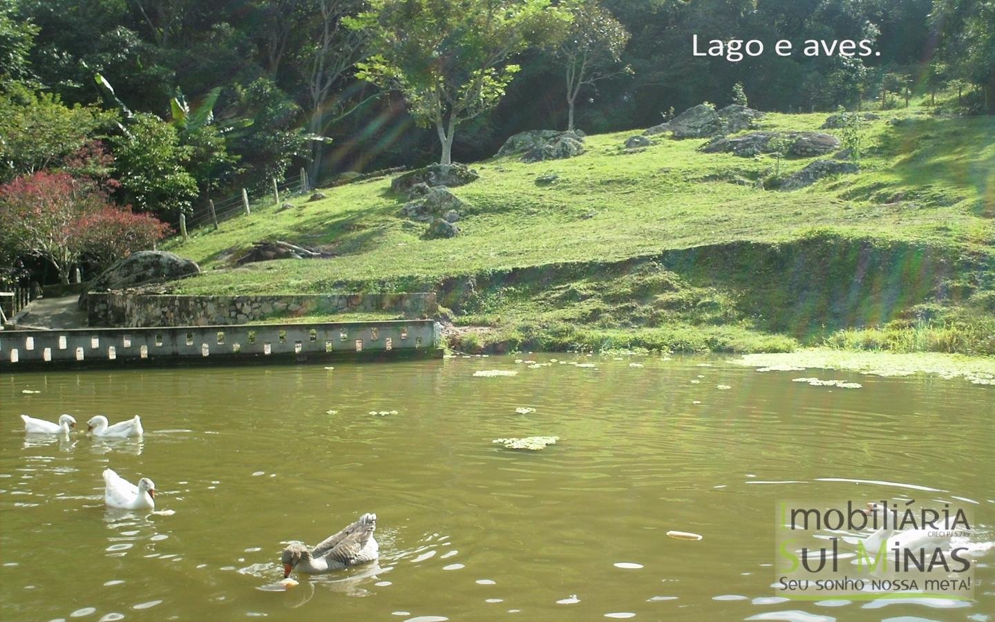 Linda Chácara de 8.000 m² à Venda em Camanducaia MG Cod. 1850 (4)