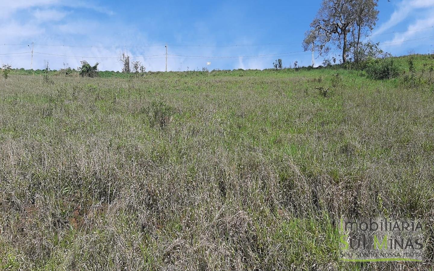 Lote a Venda em Cambuí MG  de 828 m² medindo 24 metros de frente e 34,50 de lateral (2)