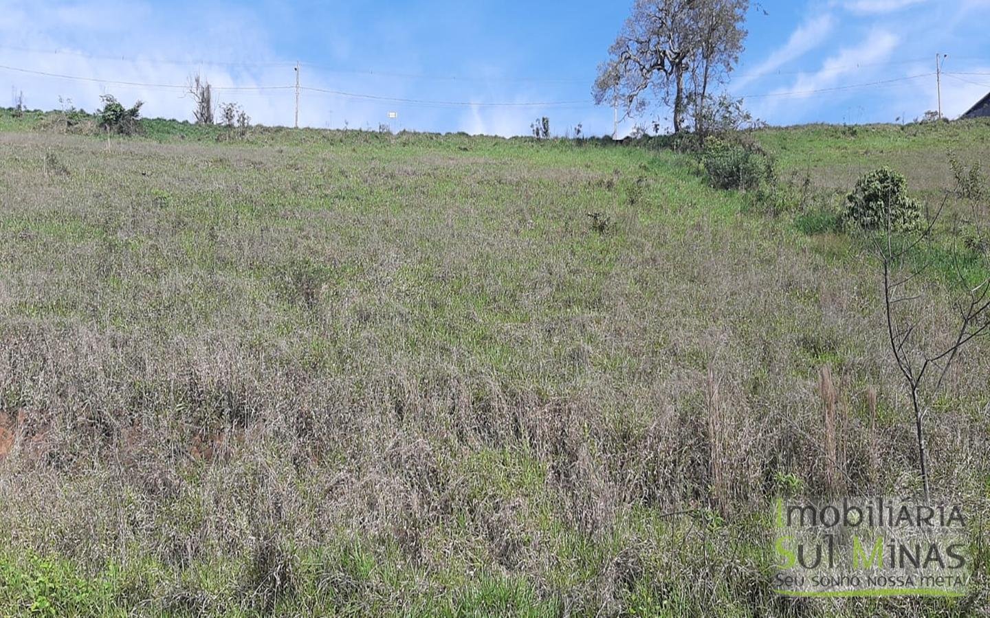 Lote a Venda em Cambuí MG  de 828 m² medindo 24 metros de frente e 34,50 de lateral (4)