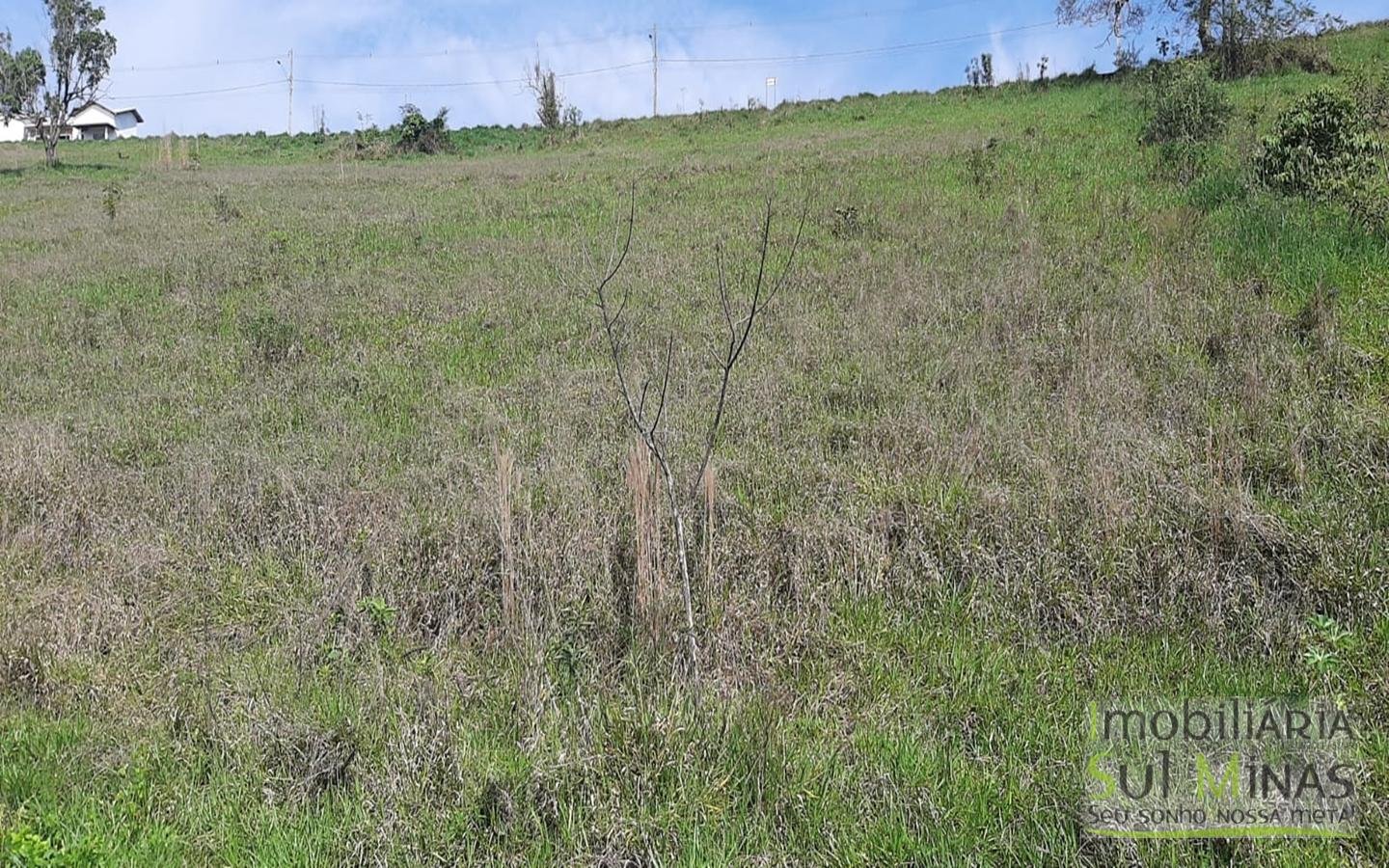 Lote a Venda em Cambuí MG  de 828 m² medindo 24 metros de frente e 34,50 de lateral (7)