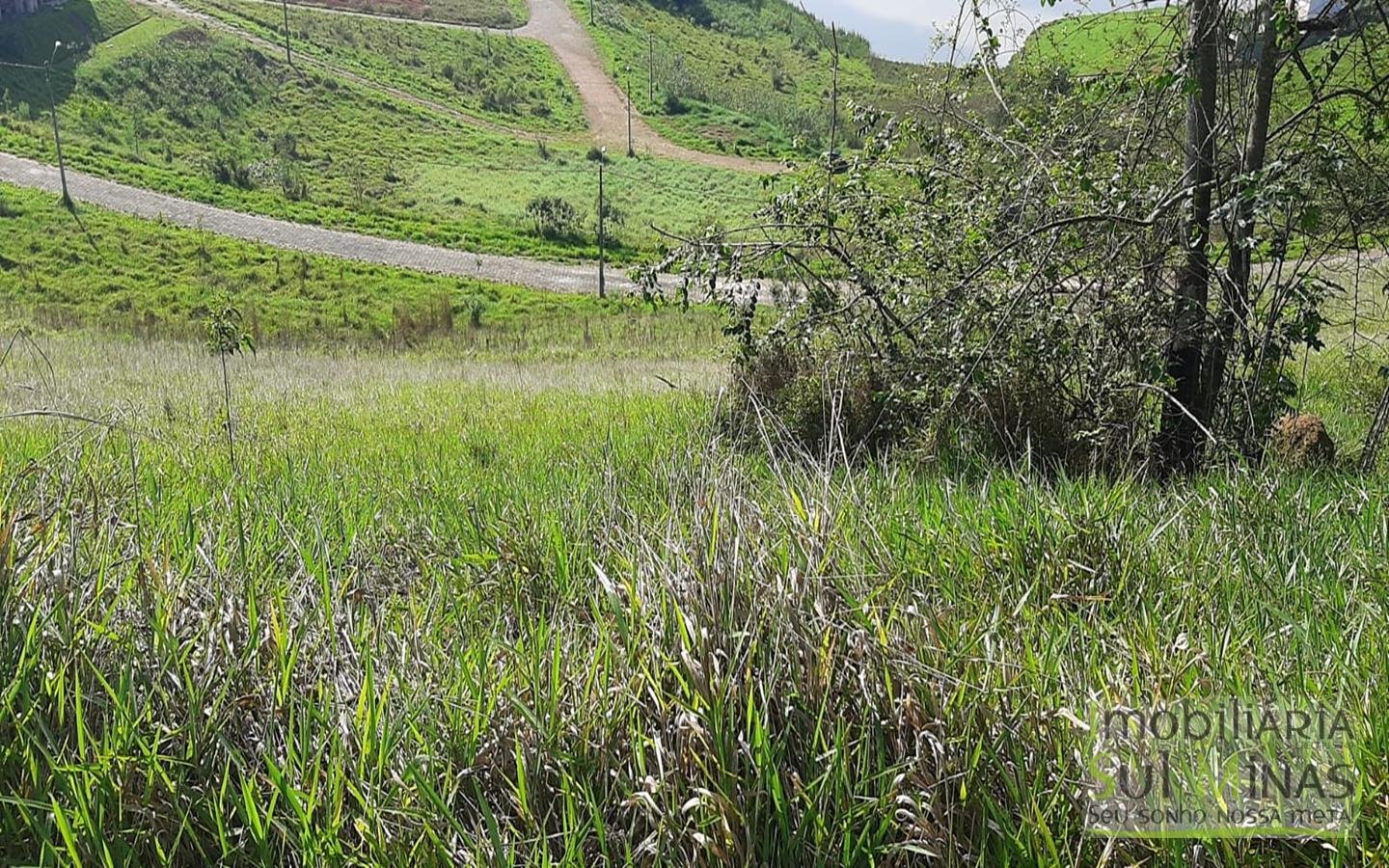 Lote a Venda em Cambuí MG  de 966 m² medindo 29,50 metros de frente e 34,50 de lateral Cód (2)