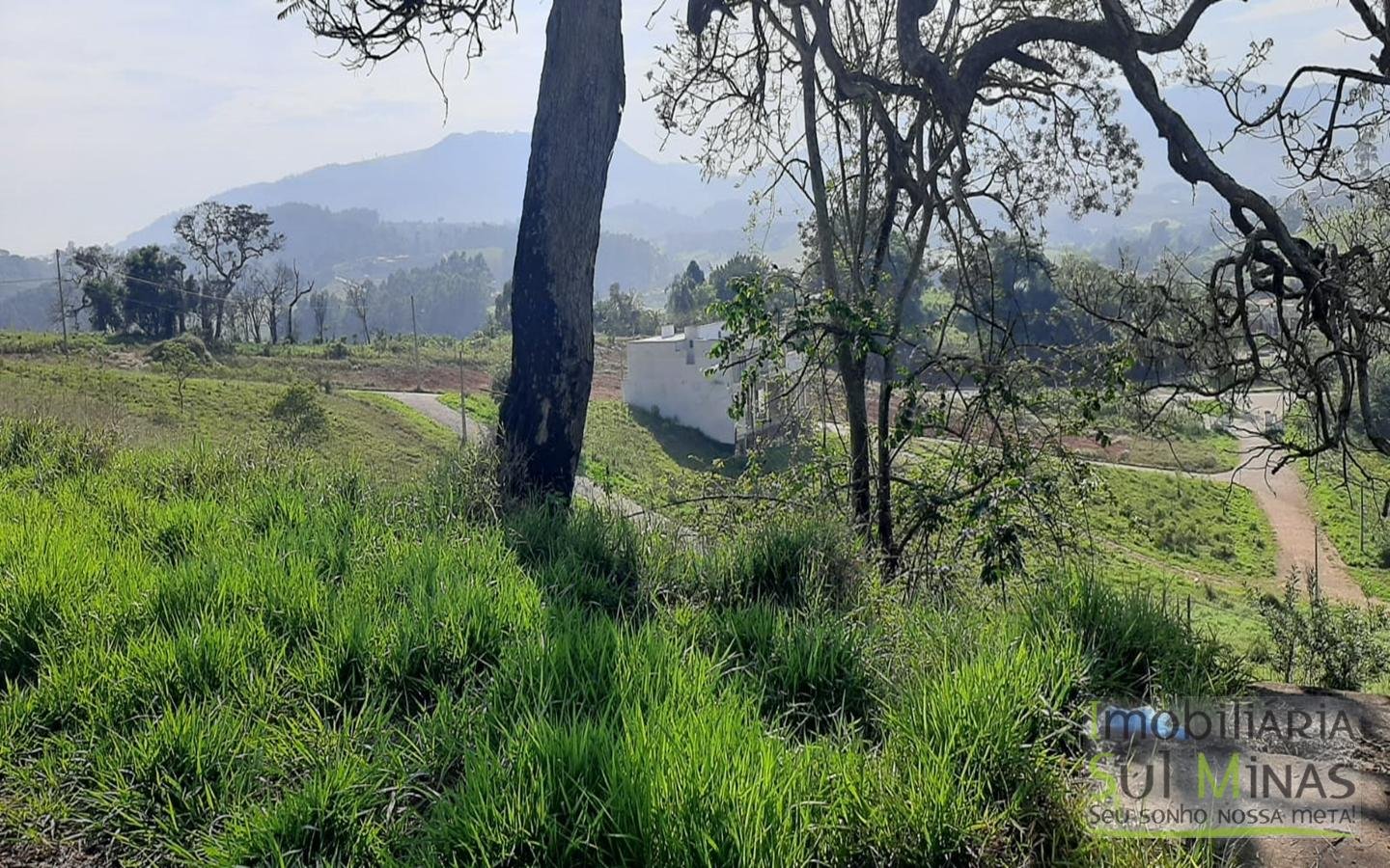 Lote a Venda em Cambuí MG  de 966 m² medindo 29,50 metros de frente e 34,50 de lateral Cód (3)