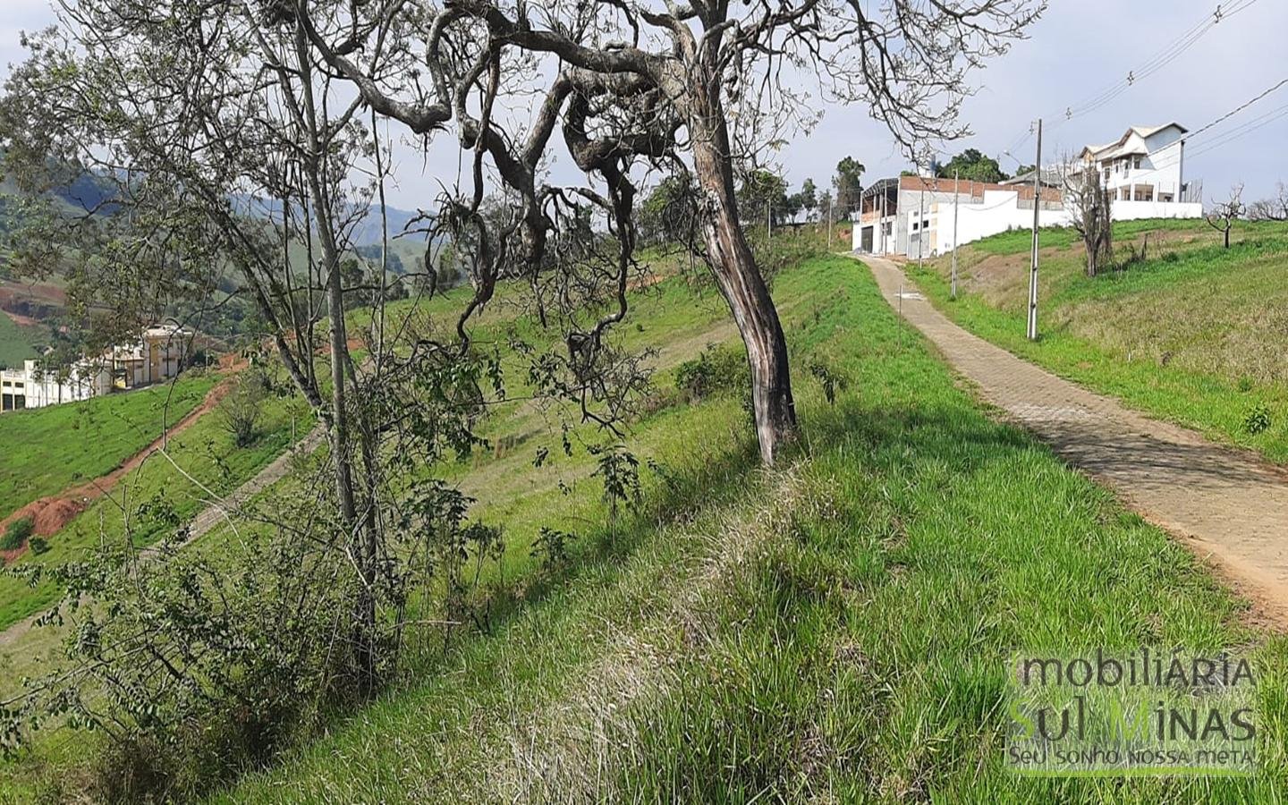 Lote a Venda em Cambuí MG  de 966 m² medindo 29,50 metros de frente e 34,50 de lateral Cód (6)