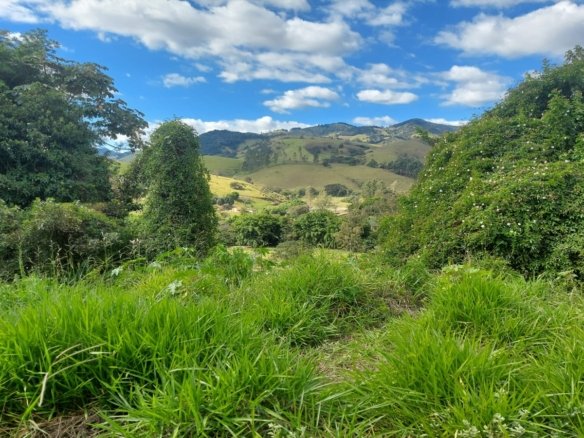 Lote a Venda no Córrego do Bom Jesus MG com 232m² Cód. 1700 (5)