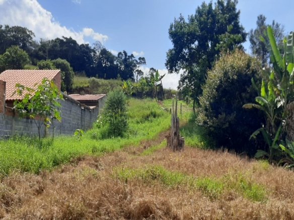 Lote de 900 m² à Venda em Cambuí MG Cód. 1458 (1)