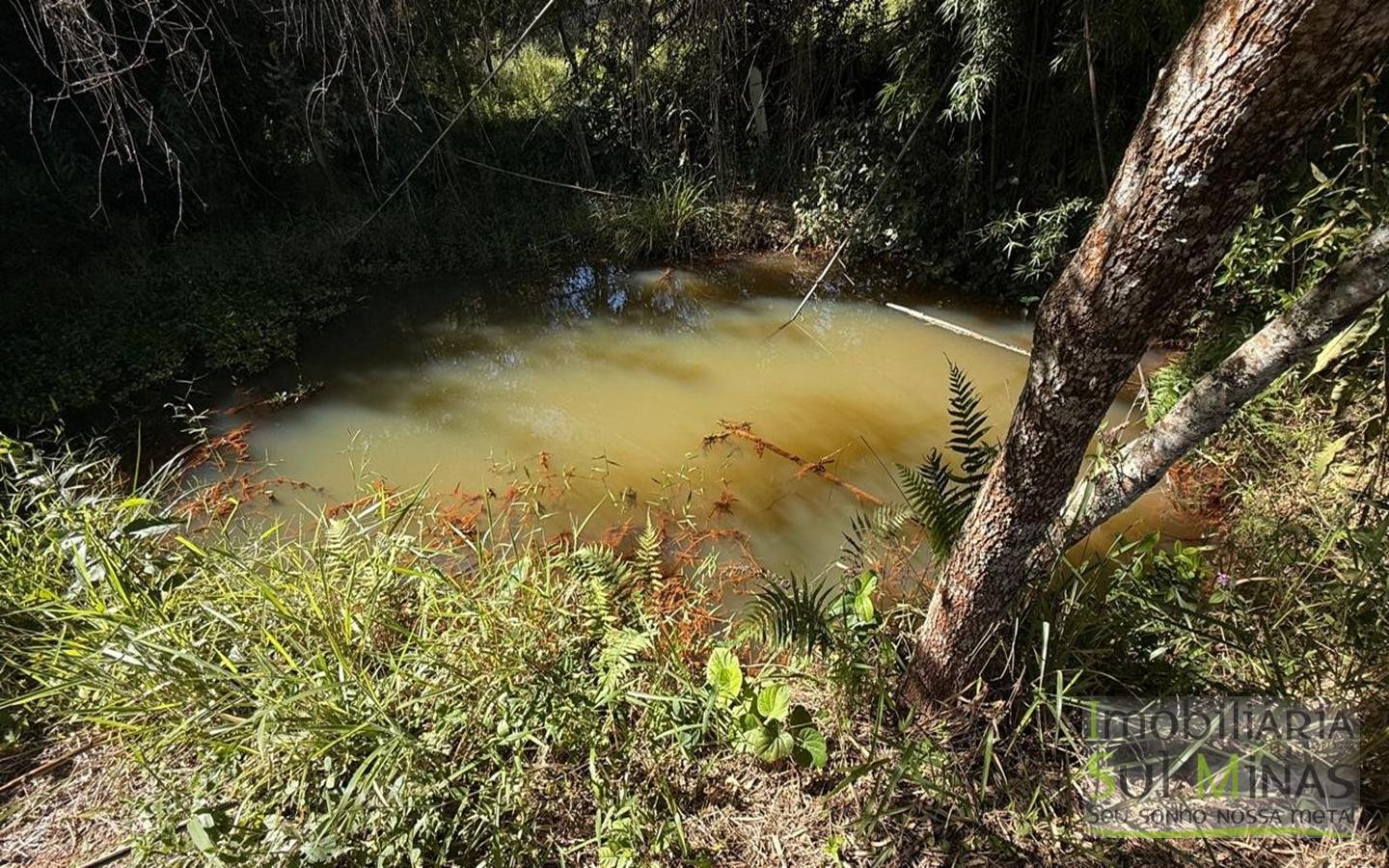 SÍTIO COMPLETO À VENDA – 25.158 m² cod2442 (5)