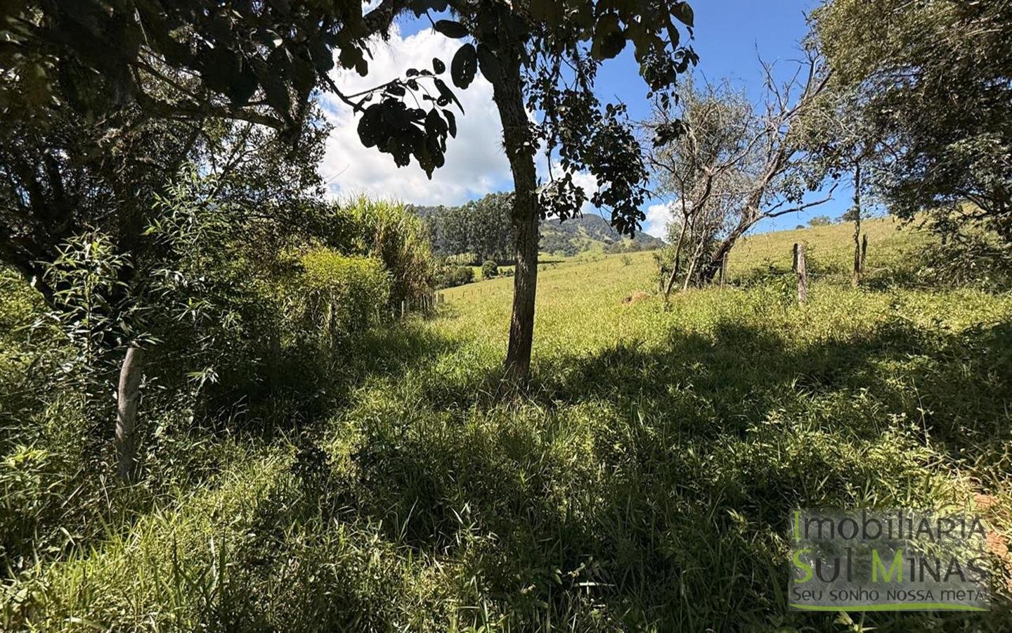 SÍTIO COMPLETO À VENDA – 25.158 m² cod2442 (53)