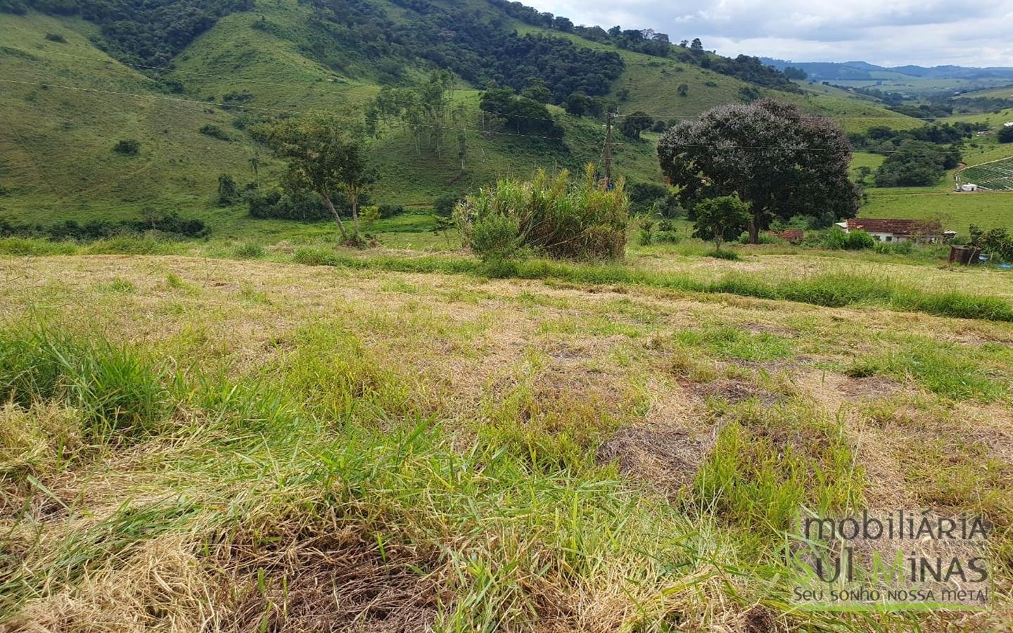 Sitio Com 2,66 Alqueires À Venda em Consolação MG Sul de Minas (12)