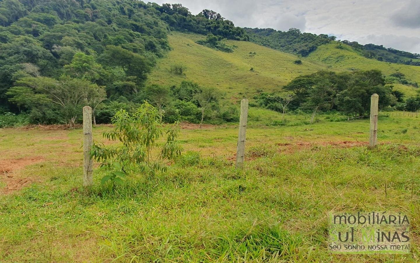 Sitio Com 2,66 Alqueires À Venda em Consolação MG Sul de Minas (4)