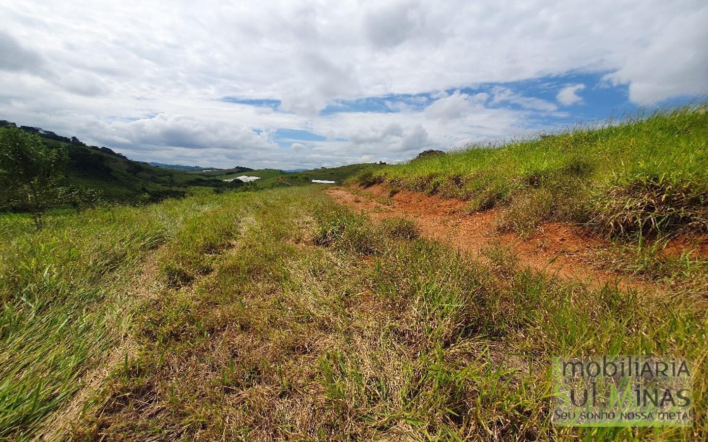 Sitio Com 2,66 Alqueires À Venda em Consolação MG Sul de Minas (5)