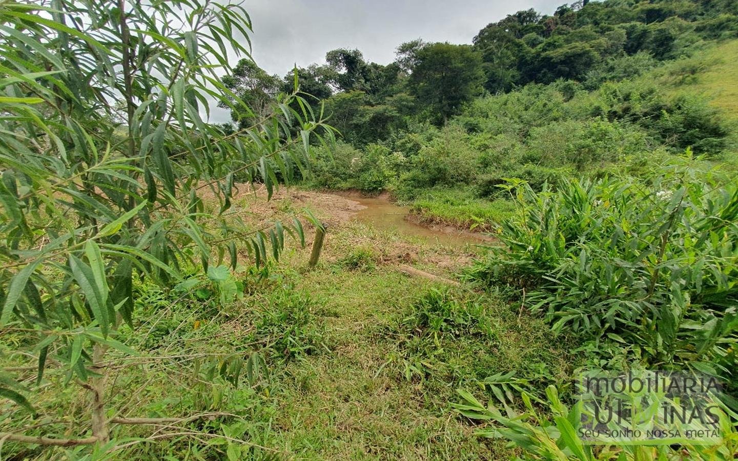Sitio Com 2,66 Alqueires À Venda em Consolação MG Sul de Minas (8)