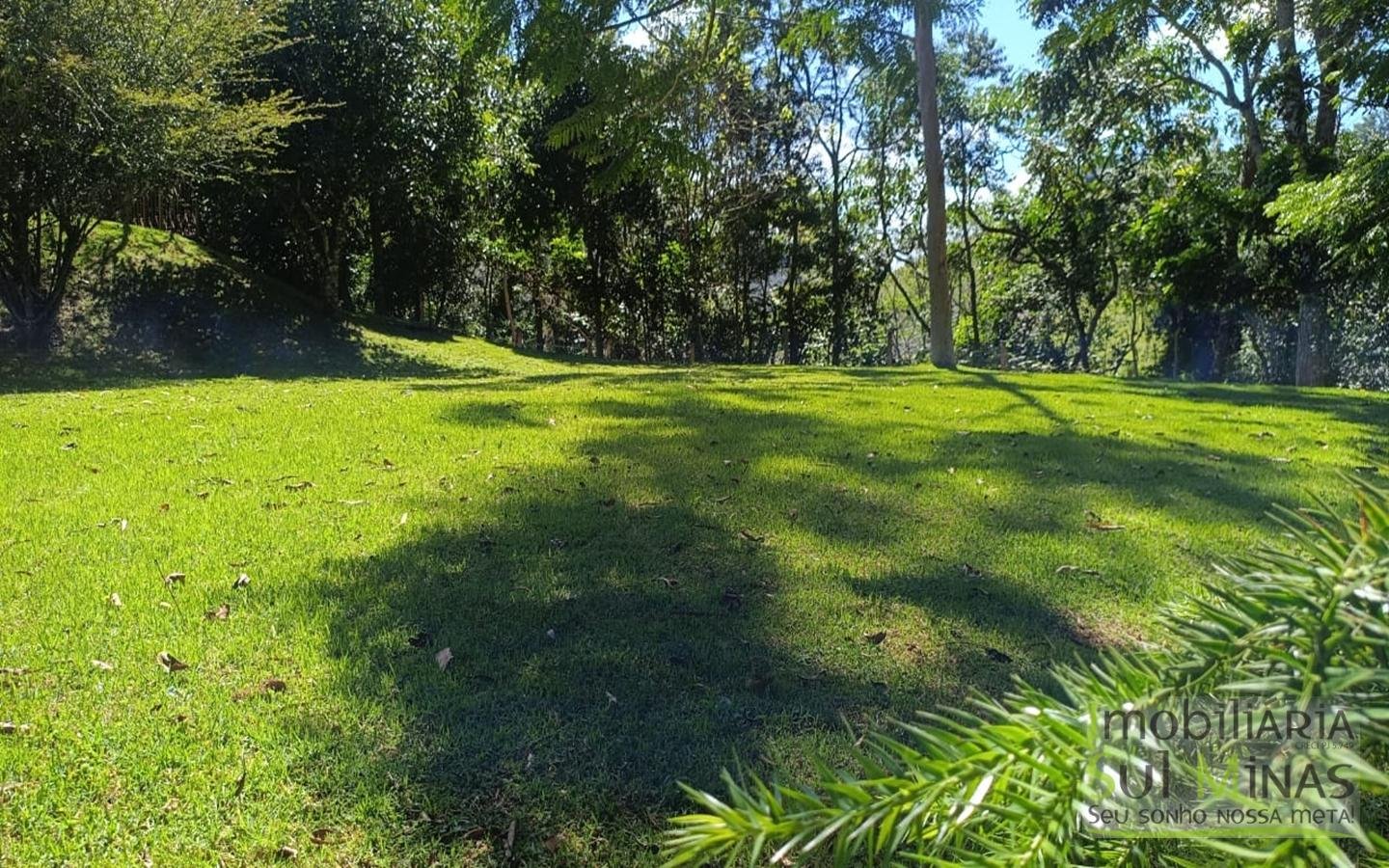 Sítio Completo Porteira Fechada em ItapevaMG cod2441 (31)