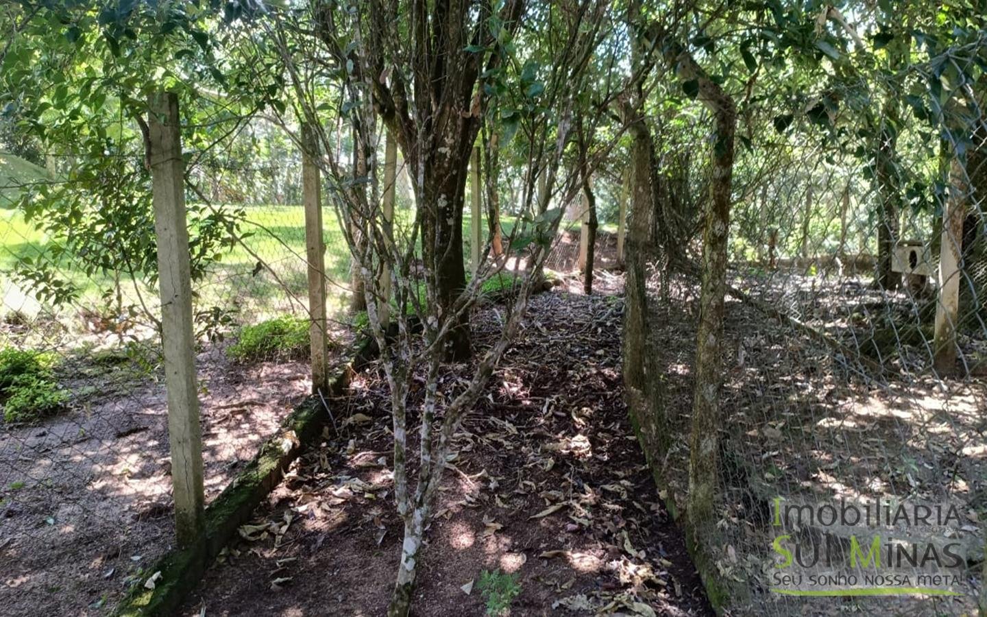 Sítio Completo Porteira Fechada em ItapevaMG cod2441 (35)