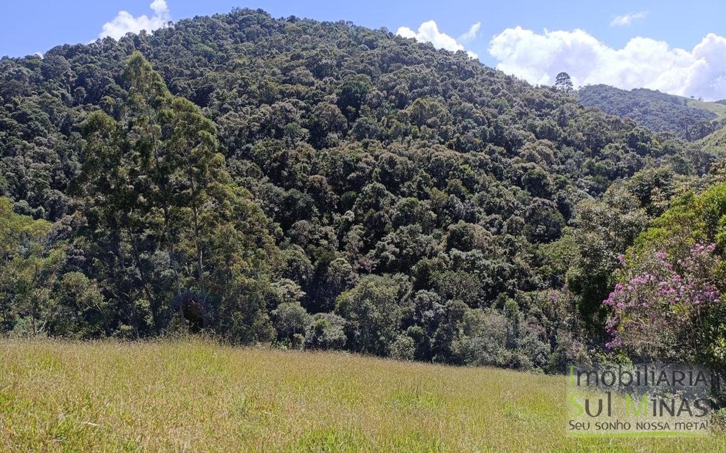 Sítio Completo Porteira Fechada em ItapevaMG cod2441 (45)