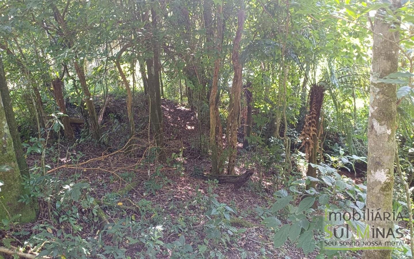 Sítio Completo Porteira Fechada em ItapevaMG cod2441 (46)