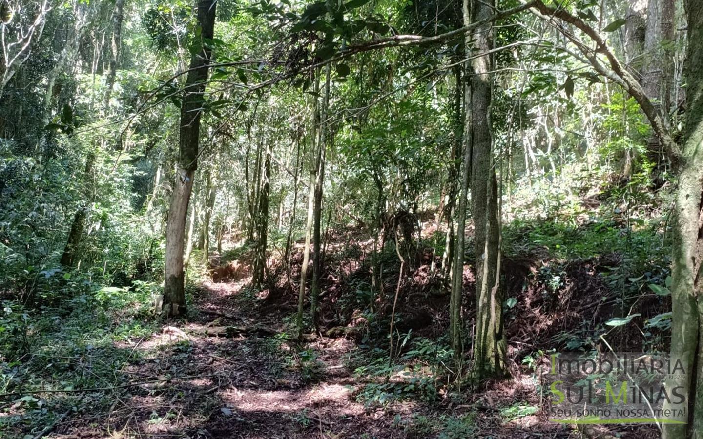 Sítio Completo Porteira Fechada em ItapevaMG cod2441 (48)