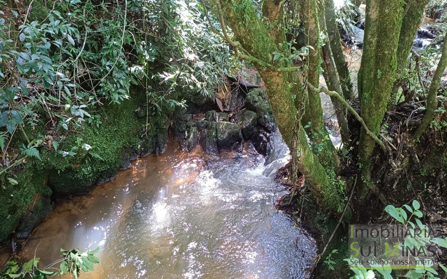 Sítio Completo Porteira Fechada em ItapevaMG cod2441 (49)