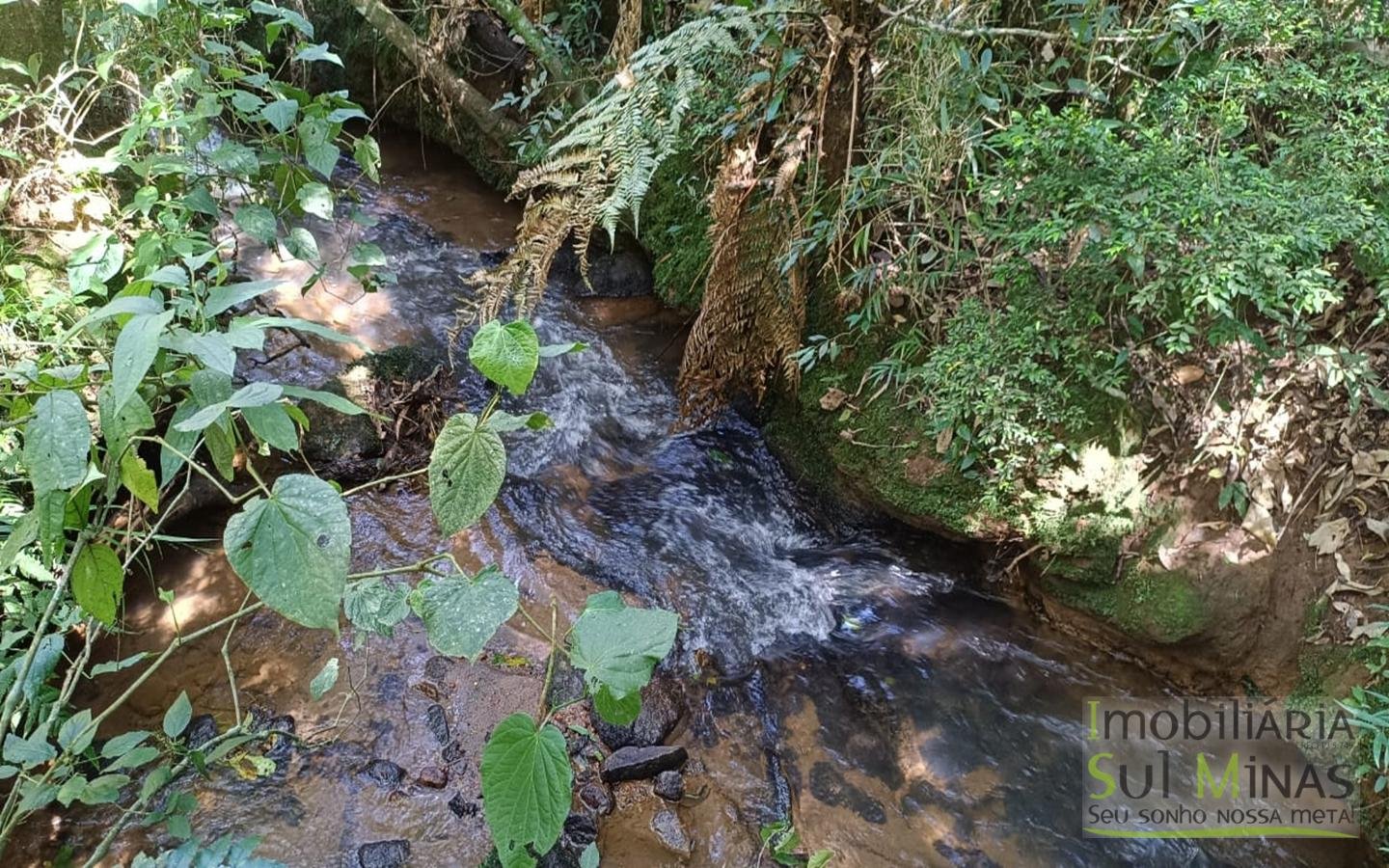 Sítio Completo Porteira Fechada em ItapevaMG cod2441 (50)