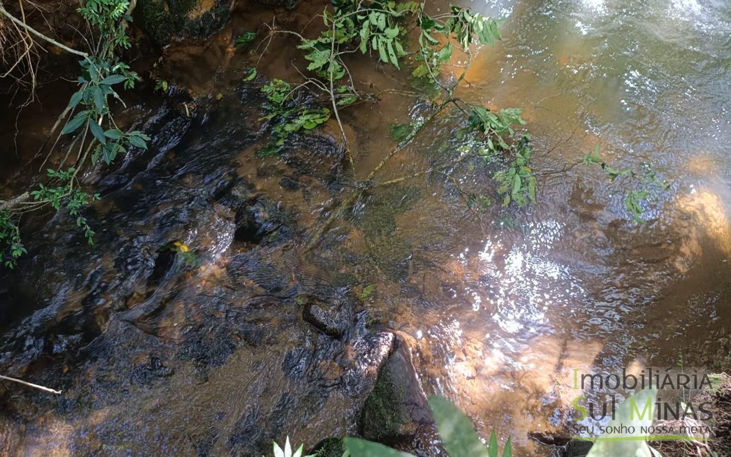 Sítio Completo Porteira Fechada em ItapevaMG cod2441 (52)