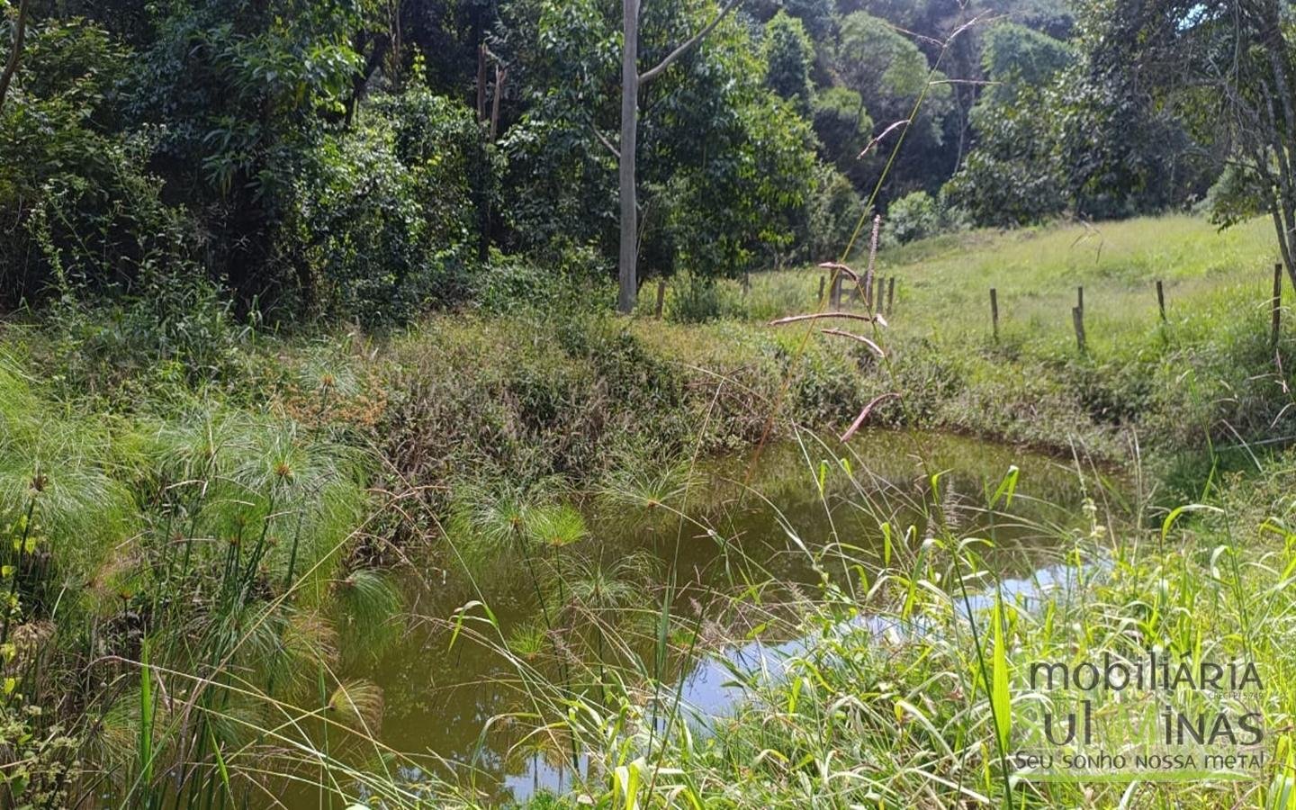 Sítio Completo Porteira Fechada em ItapevaMG cod2441 (53)