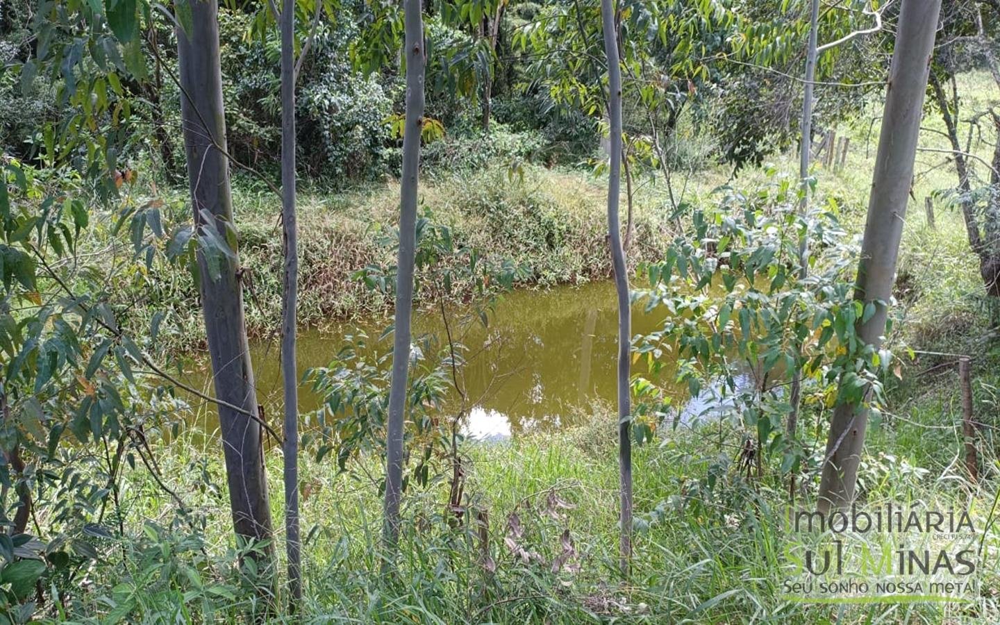 Sítio Completo Porteira Fechada em ItapevaMG cod2441 (54)