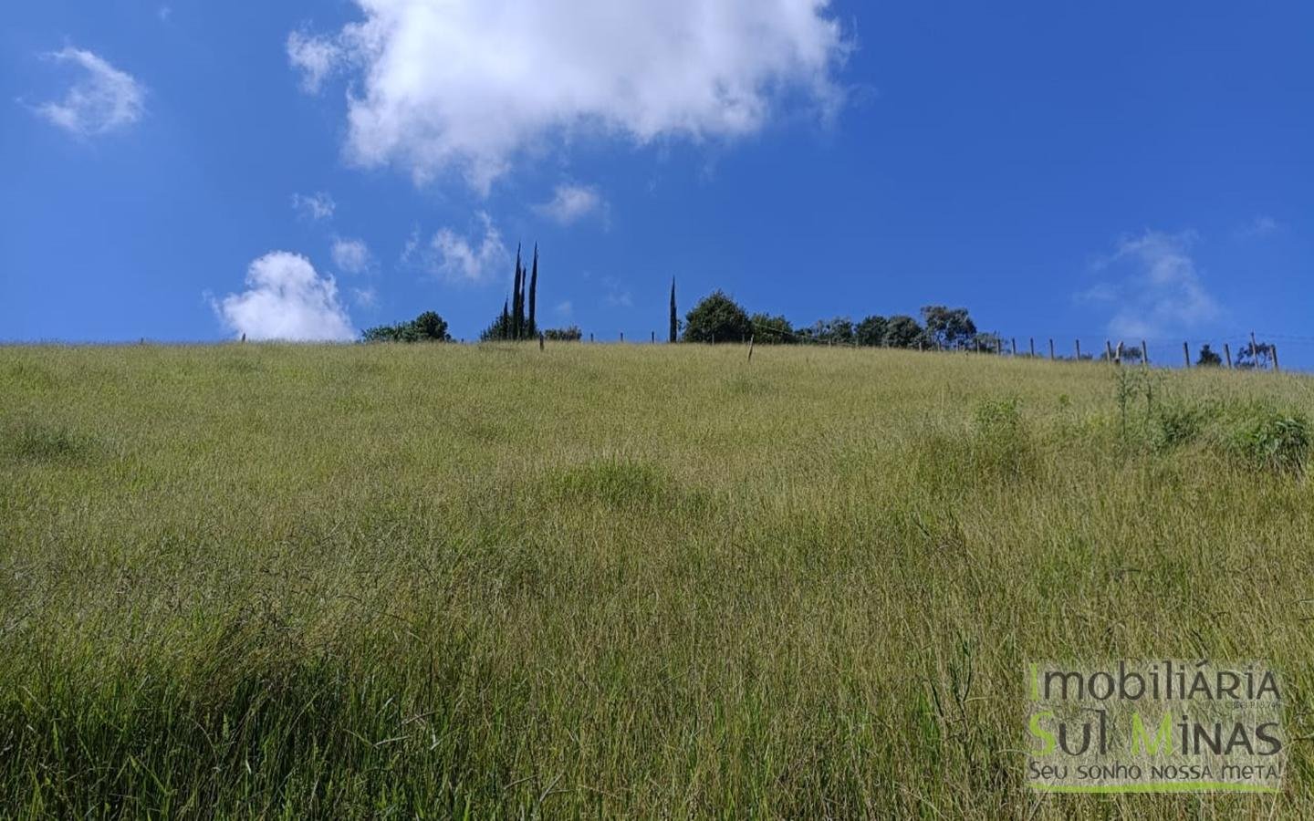 Sítio Completo Porteira Fechada em ItapevaMG cod2441 (55)