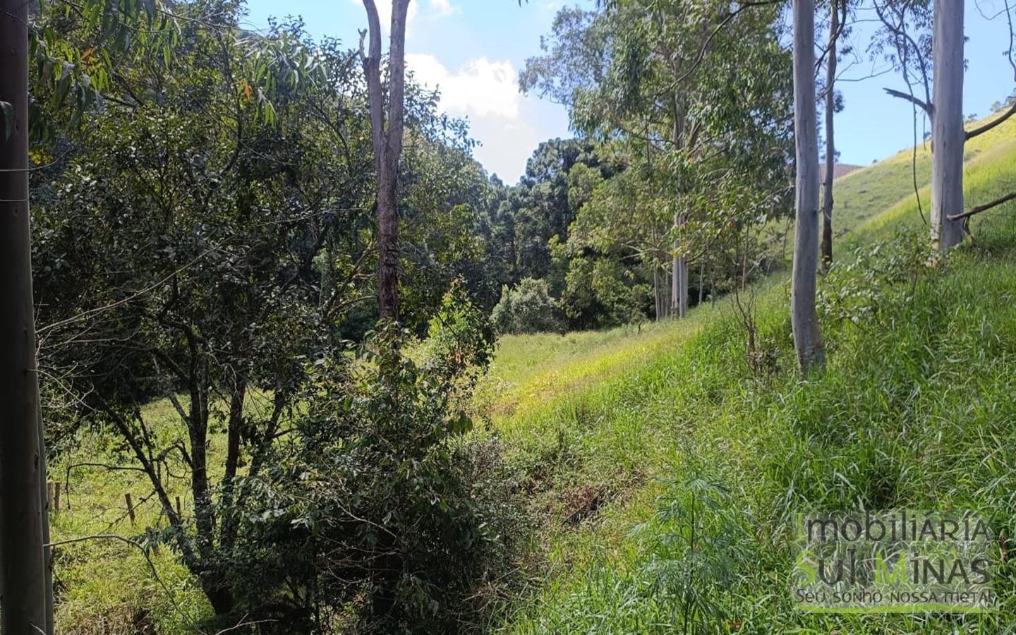 Sítio Completo Porteira Fechada em ItapevaMG cod2441 (56)